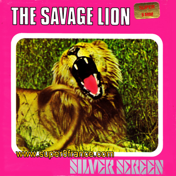 le lion sauvage -savage lion